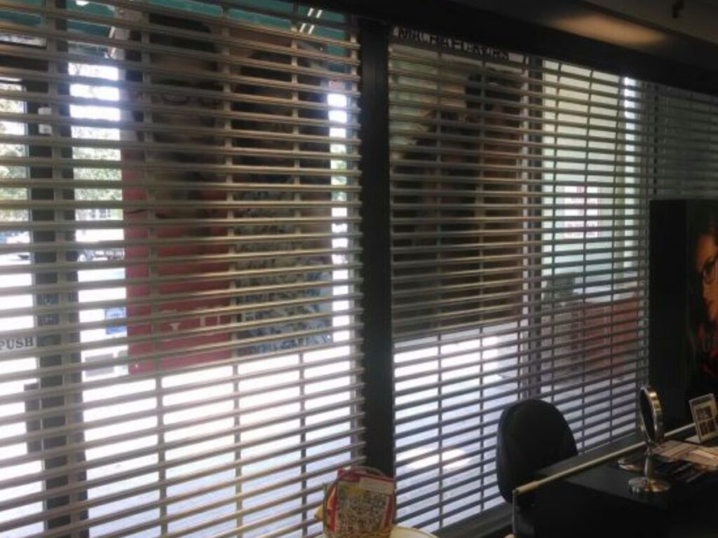 Security Shutters